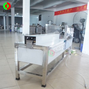 Fruit snijmachine / meloen fruit snijmachine QD-1000