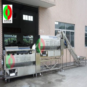 Meloenschilmachine / fruit- en groenteschilmachine / continue meloenfruitborstelreiniging schilmachine QX-824